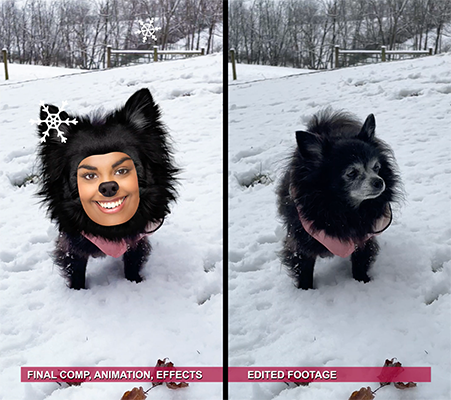 Puppies in the Snow JibJab ecard - editing and motion breakdown